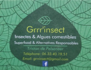 Grrr insect Affiche 