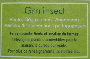 Grrr insect Deuxieme