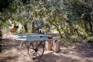 Le Cabanon de Célestin