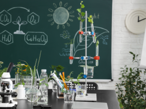 Géobiophysique et biologie